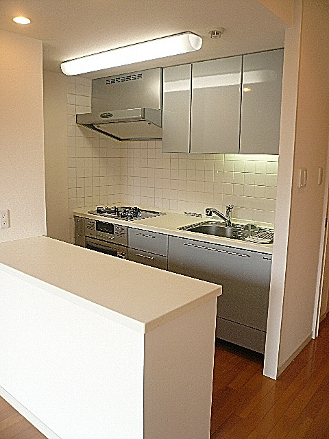 セーナ世田谷公園　カウンター付システムキッチン