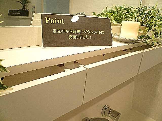 洗面台カウンター部分・収納