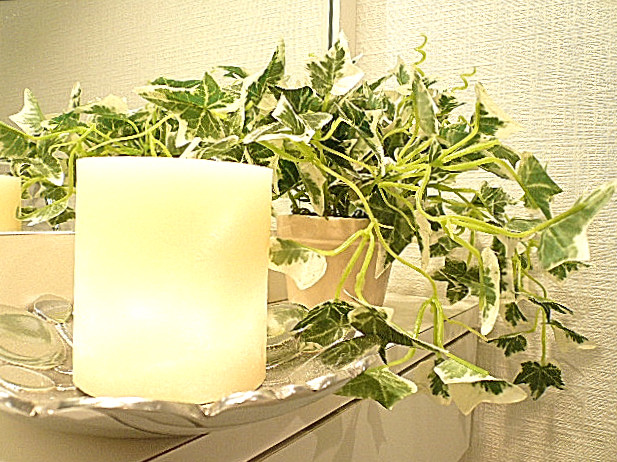 洗面台カウンター部分