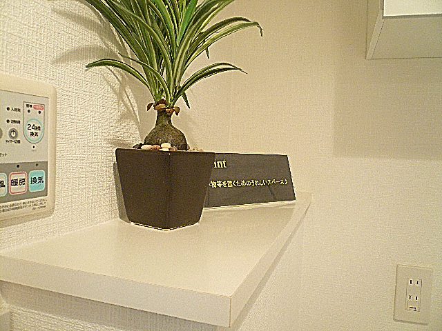 カウンター部分