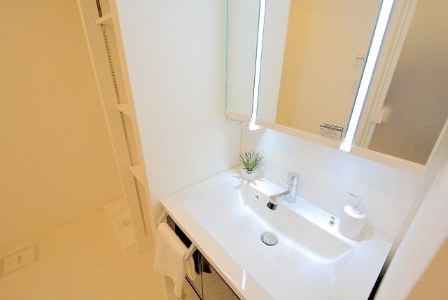 八雲スカイハイツ 洗面