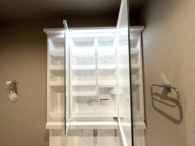 常磐松サマリヤマンション 洗面室