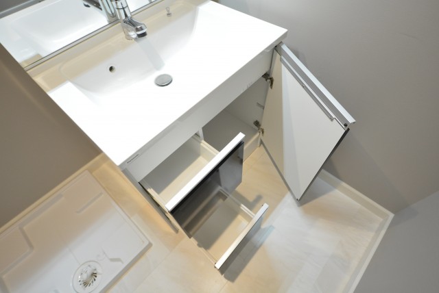 ドルフ目黒 洗面室