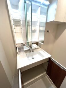 シャトーエスペランス 洗面室