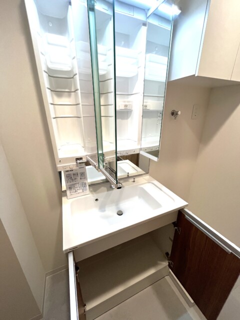 シャトーエスペランス 洗面室