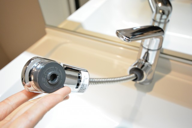 ドルフ目黒 洗面室