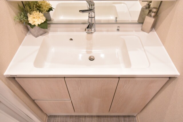 サンビューハイツ音羽 洗面室