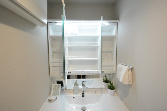 セザール月島 洗面