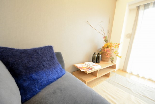 小石川ザ・レジデンスイーストスクエア LD