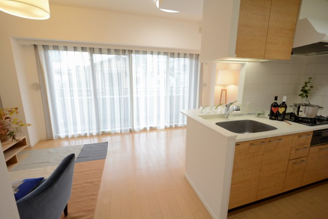 小石川ザ・レジデンスイーストスクエア LD