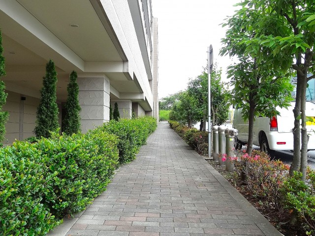 マンション周り