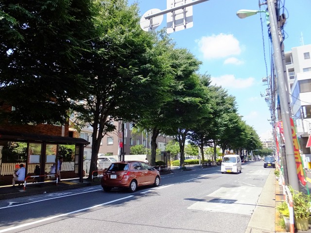 セザール第二千歳船橋　道順