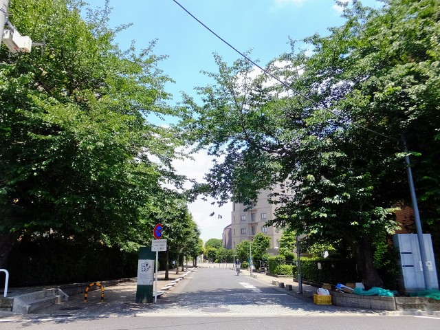 千歳船橋サマリヤマンション　道順