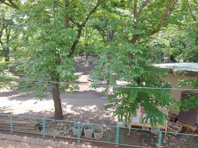 千歳船橋サマリヤマンション　洋室1から外