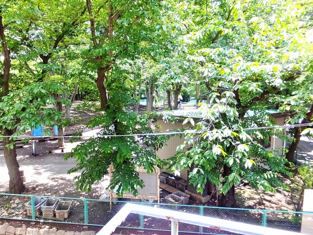 千歳船橋サマリヤマンション　バルコニーから