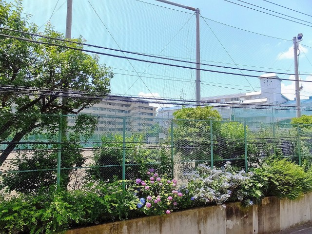 千歳船橋サマリヤマンション　バルコニー眺望