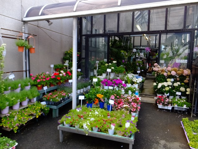 芦花公園パークホームズ　近隣