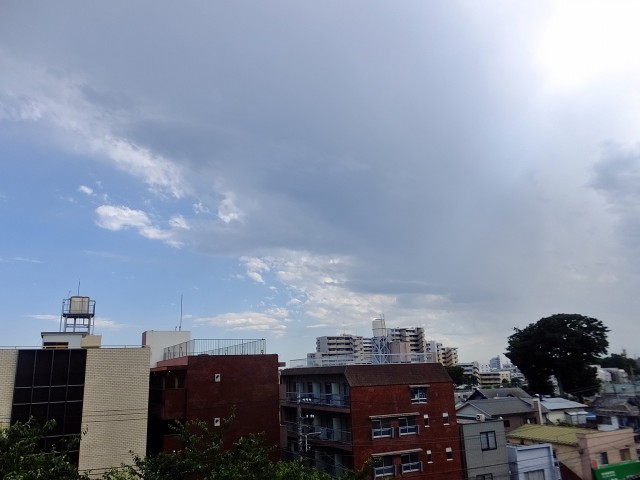 芦花公園パークホームズ　眺望