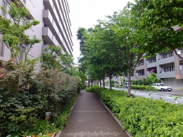 芦花公園パークホームズ　遊歩道