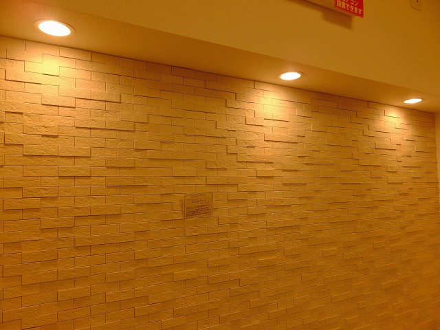 第一東個マンション　リビングエコカラット