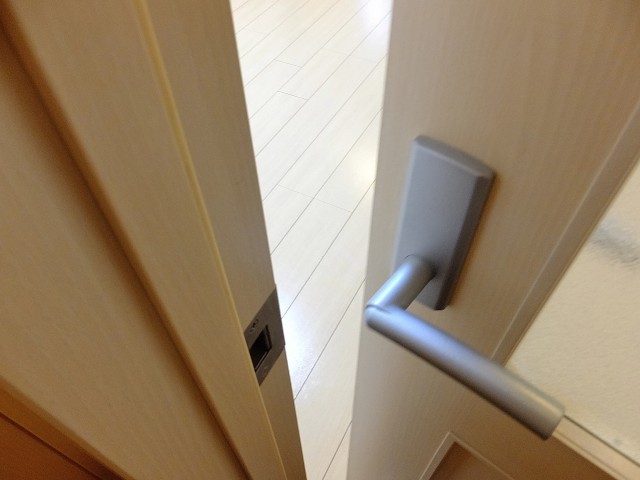 キャッスル花井　リビングドア