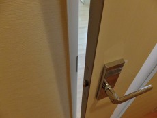 パレロワイヤル六番館　リビングドア