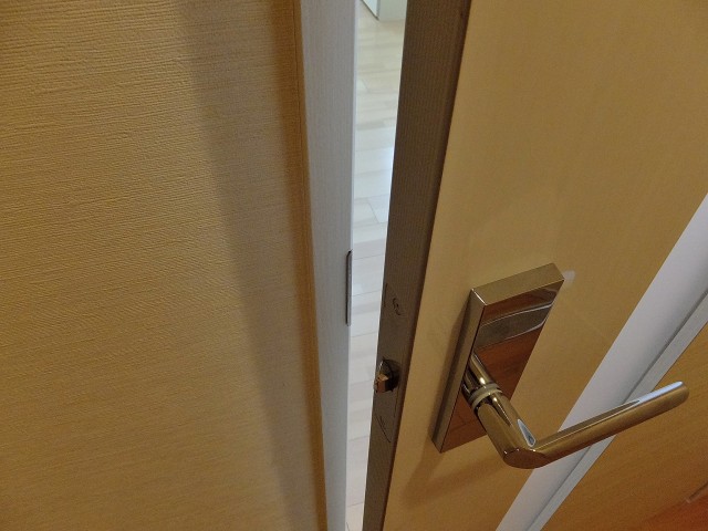 パレロワイヤル六番館　リビングドア