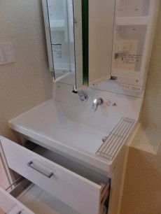 パレロワイヤル六番館　サニタリールーム