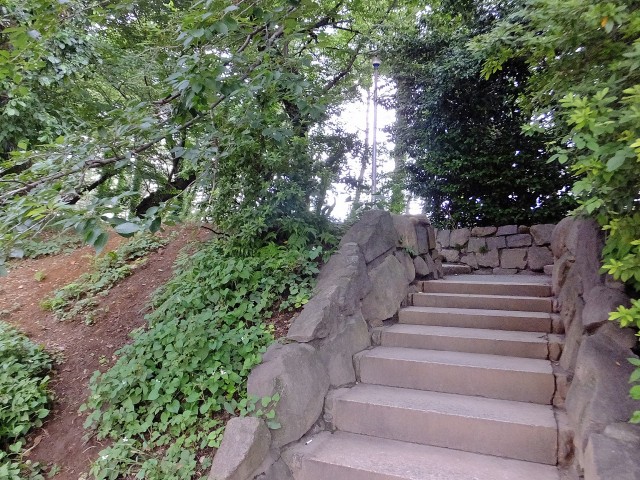 パレロワイヤル六番町　周辺環境