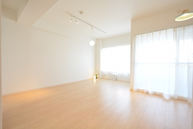 トキワパレス　約15.1帖のＬＤＫ1103