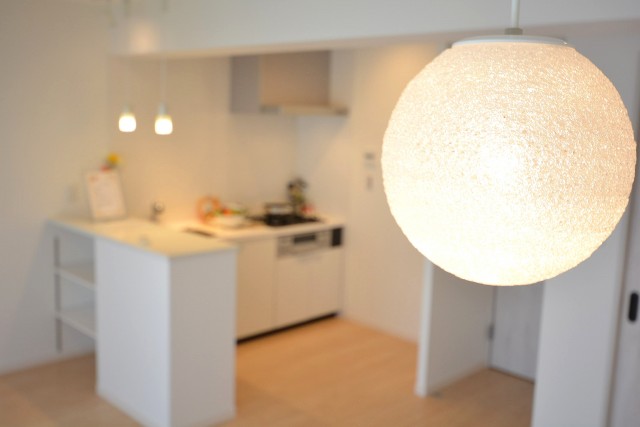 トキワパレス　キッチンスペース1103