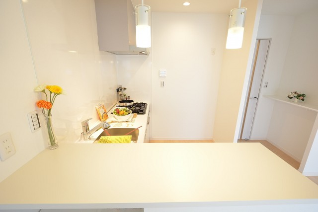 トキワパレス　キッチンスペース1103