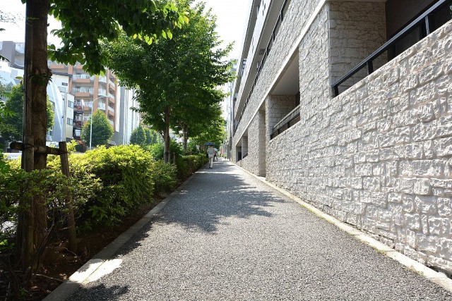 オリンポス代々木公園　エントランス前の歩道