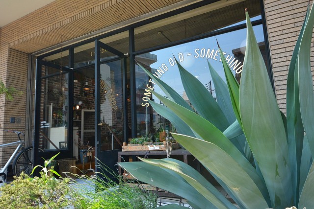 オリンポス代々木公園　周辺