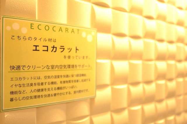 マンション五反田　9.7帖のダイニング　エコカラット