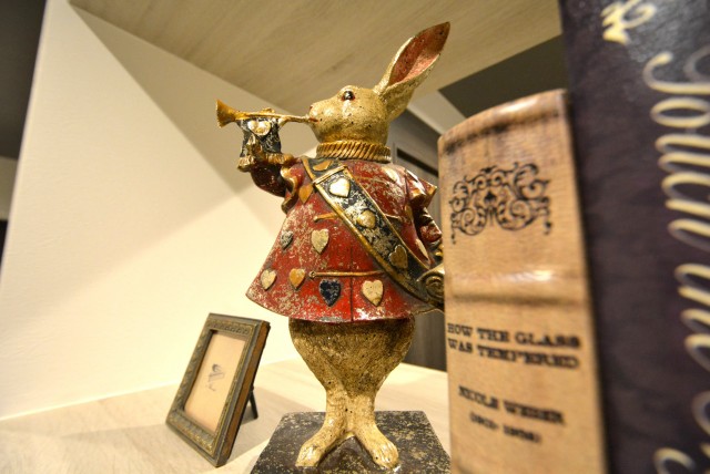 ファミール西新宿904　ウサギ