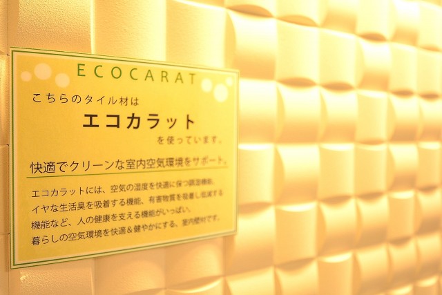 マンション五反田　9.7帖のダイニング　エコカラット