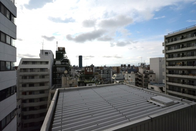 グランドメゾン池袋一番館902　眺望