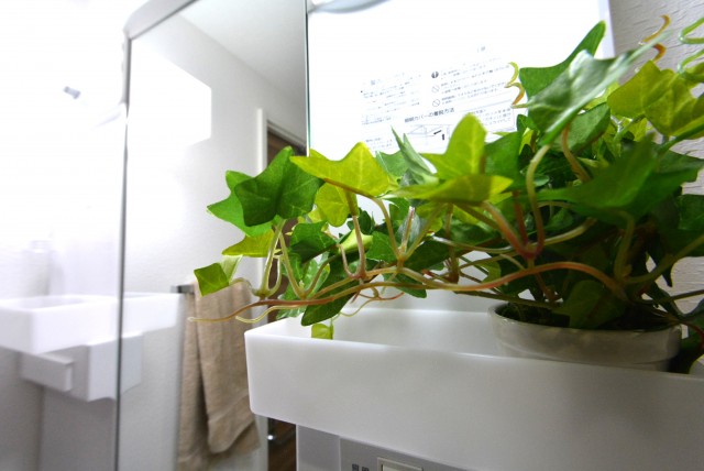 グランドメゾン池袋一番館902