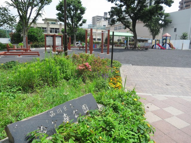 グランイーグル大森Ⅱ　公園