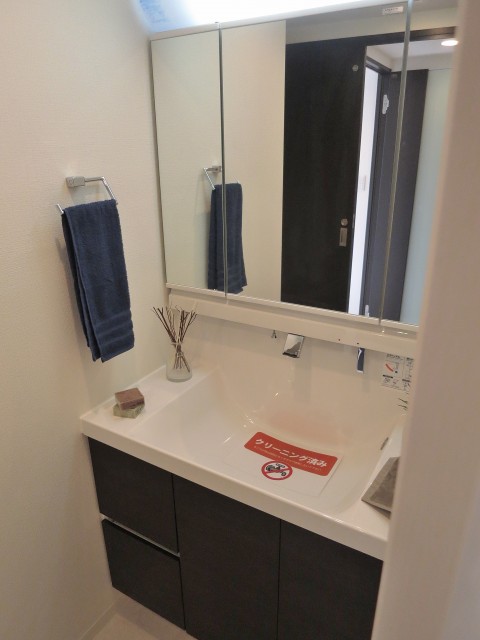 グランイーグル大森Ⅱ　洗面台