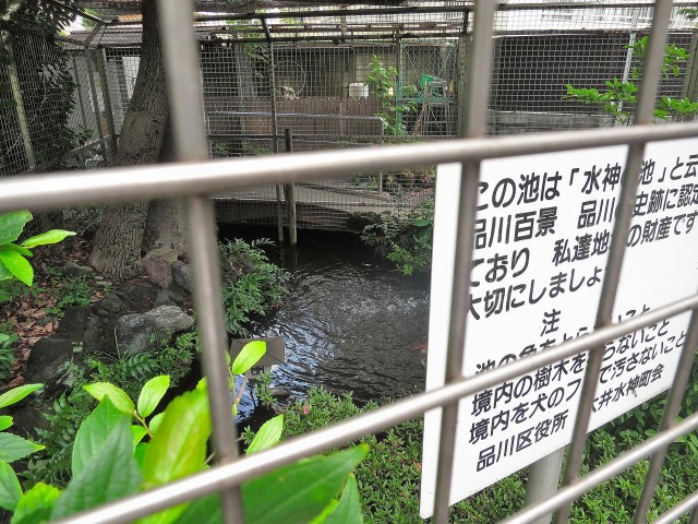 ニックハイム大森第2　神社