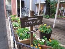 下落合南デュープレックス 周辺環境 下落合南デュープレックス 周辺環境