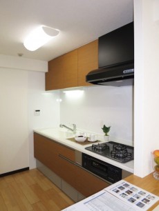 下落合南デュープレックス 機能的なシステムキッチン 下落合南デュープレックス 機能的なシステムキッチン