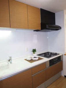 下落合南デュープレックス 機能的なシステムキッチン 下落合南デュープレックス 機能的なシステムキッチン