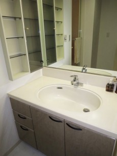 下落合南デュープレックス 使いやすそうな広々洗面化粧台 下落合南デュープレックス 使いやすそうな広々洗面化粧台