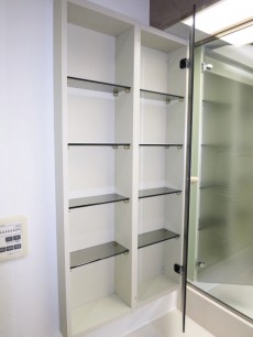 下落合南デュープレックス 使いやすそうな広々洗面化粧台 下落合南デュープレックス 使いやすそうな広々洗面化粧台