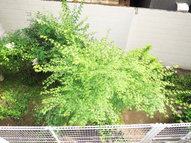 朝日落合マンション　バルコニーからの眺望