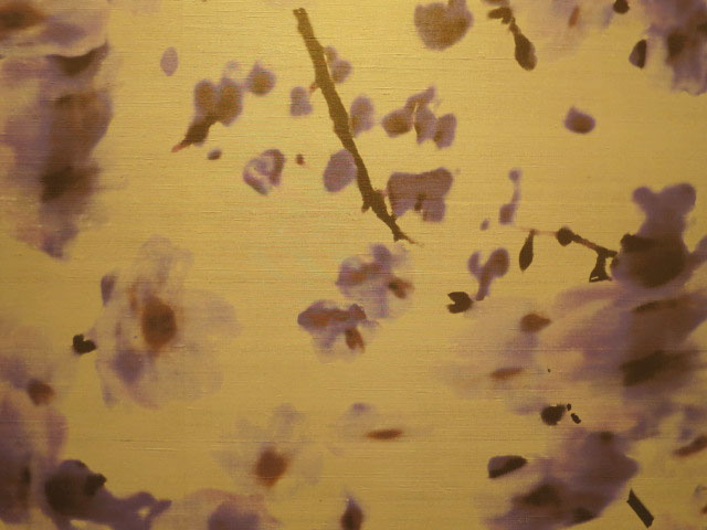 上階へ続く階段　クロス