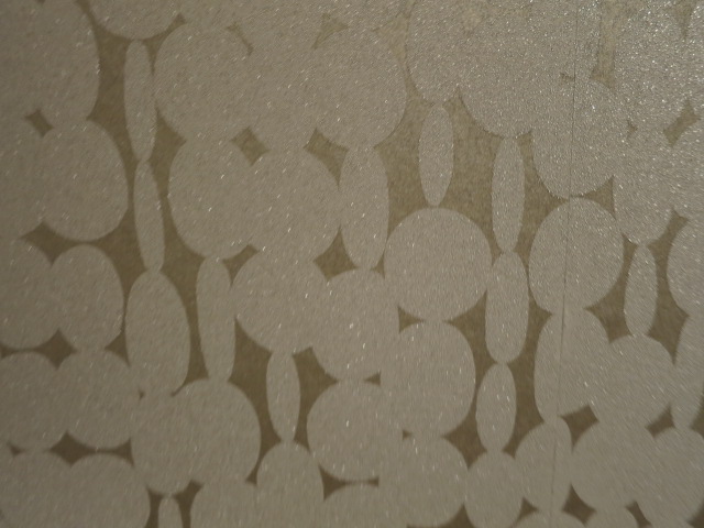 グランドメゾン中目黒 The Class　高級感あふれる玄関・廊下